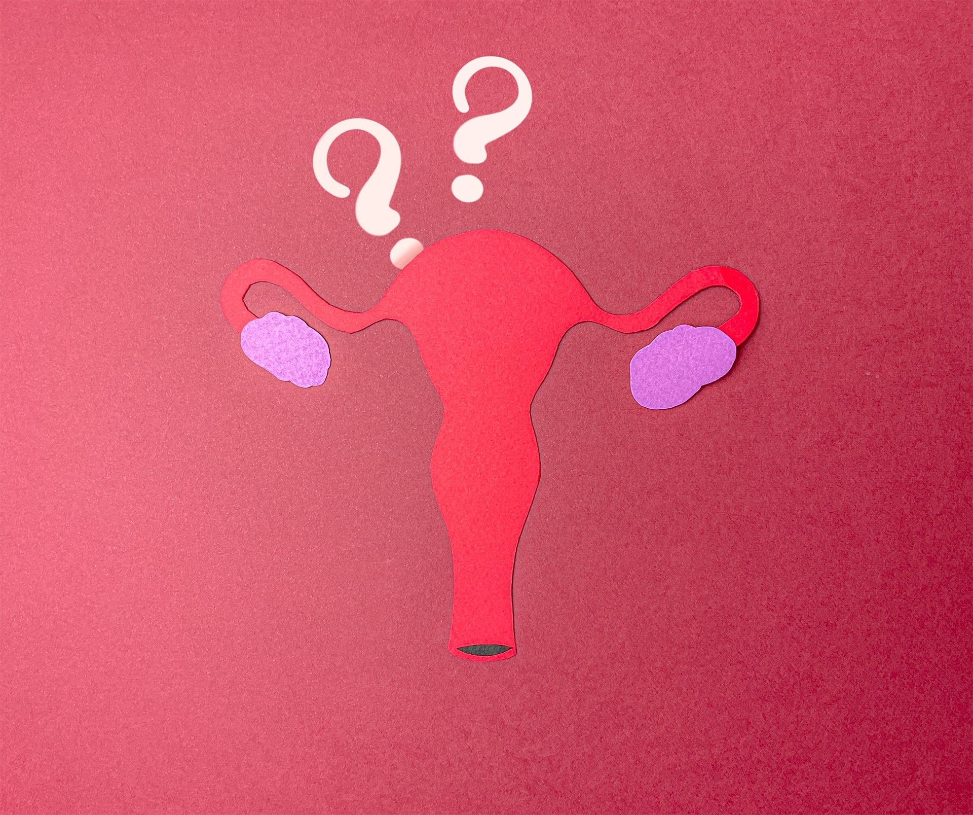 verwenden Menstruationstasse Menstruationstasse Gebärmutter nach hinten verlagert luneale möglich Möglichkeit